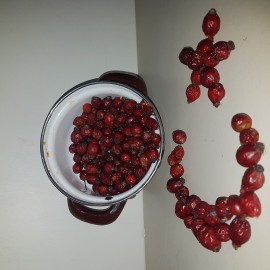 Kuşburnu Meyvesi Kurusu Yerli 100gr Kilitli Kraft