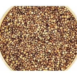 Kendir (Kenevir)Tohumu Çedene 75 gr