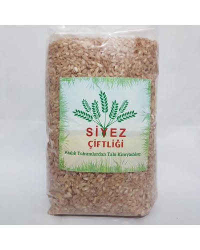 Esmer Kırmızı Glutensi...